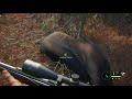 theHunter COTW - Big Bull Head Shot