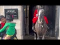 Silly Idiots Hit The King’s Guard Horse, When This Happened!!!