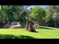 The World Of Giraffes And Zebras!🦒🦓 Wildlife Video With Relaxing Music! #relaxingmusic #animals
