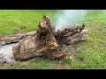 Bobcat 325 VS Massive Stump