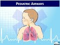 EMT 1-4:  Overview of the Human Body and Physiology