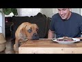 Leaving my blind dog alone with STEAK! (Leave it Challenge)