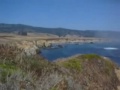 Año Nuevo State Reserve - San Mateo County Coastline (29 August 2007)