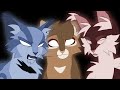 I Think I'm Dying - Hollyleaf Animatic