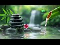 Music to Rest The Mind, Stress, Relax and Sleep, Body and Soul 🌿Relaxing Nature Sounds