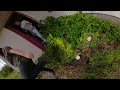 Devon hoarders house urbex (360° video 60fps)