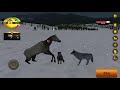 A Determined Wolf’s Snowy Hunt!! 🐺 ❄️ || Wolf Quest 2.7|| Rise Of The Moonflower Pack