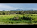Upper Beaver Meadow - Rocky Mountain National Park