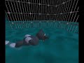 Layer4Sewers FreeCam (Shipwrecked 64)