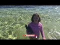 BEACH FISHING for King George Whiting WADING THE FLATS