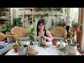 PLANT CHORES | repotting tons of hoya & checking on air layered plants!