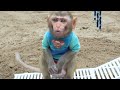 Monkey Baby Bon Bon eat jelly egg and Funny stories with ducklings in the swimming pool