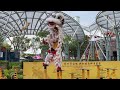 新加坡新城龍獅學院 -  Kweichow Moutai Cup Singapore Lion Dance Championship (2024 年 ‘贵州茅台杯’新加坡舞狮争霸赛)