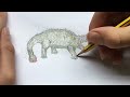 Drawing an ankylosaurus