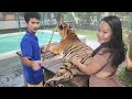 TIGER PARK TOUR PATTAYA THAILAND 🇹🇭 BLACK MAN'S EXPERIENCE