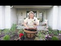 Planting up my Front Porch and Walkway for Summer!