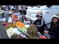 Cambodian Fresh Market Food Compilation - Mango, Pork, Beef, Chicken, & More