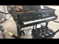 Digital Baby Grand Player Piano