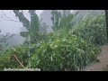 Rain a wash weh Jamaica 🇯🇲 😩 😫 😭 🇯🇲 shedine Johnson lifestyle vlog.