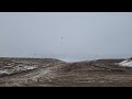 Many Birds At Humboldt County Landfill 1/24