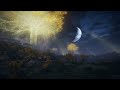 STAY A WHILE - ELDEN RING - Environmental Ambience Ep 01 - The First Step | Relaxing Ambience|