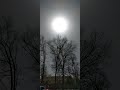 The Great American Eclipse 2024