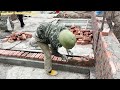 How To Construct A House's Foundation - Build Walls And Pour Complete Concrete Braces