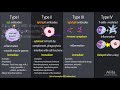 Hypersensitivity, Overview of the 4 Types, Animation.