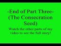 RuneScape-Roving Elves Movie- Part 3 (The Consecration Seed)