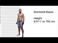 UFC (MMA) Fighters' Real Height ✅