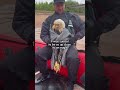 Rescuing A Bald Eagle! l The Dodo