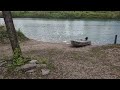 Fast RC Boat