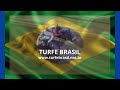 TURFE BRASIL