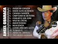 TOP 12 ÉXITOS VOLUMEN  01 DE ANGEL GUARACA(El Pesado del Ritmo)