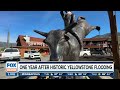 From Floods to Flourish: Yellowstone's Journey of Restoration One Year After Deluge