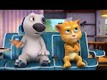 Talent Show | Talking Tom & Friends | Cartoons for Kids | WildBrain Zoo