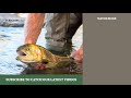 Raising Trout in Virginia - Episode 1