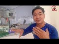 Kết Duyên Với Chim Cưỡng Non Đầu Mùa II first bird of the season@KhiNguyen Vlog