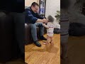 Rosie playing with Papa