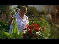 Breathtaking Raised Bed Garden FULL of Veg & Flowers (Only 6 Months Old!)