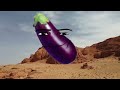 Coems Eggplant🤑 🤑 🤑