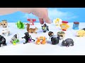 Transformers Botbots Ruckus Rally Pet Mob & The Hunger Hubs Series 6 Review
