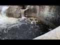 The Big Pot - Yosemite Nat'l Park, CA