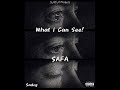 SAFA - What I Can See! (Single) [Official Audio] @sadcg