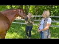Equine Acupuncture with Dr. Adrien Zap