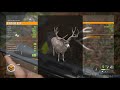 theHunter  Call of the Wild Perfect 1000 Diamond Blacktail