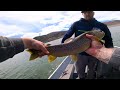 Echo Reservoir Utah! Surprise Catch!