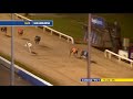 Irish Greyhound Derby 2023