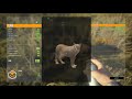 theHunter Call of the Wild - Perfect 1000 Legendary Diamond Puma!