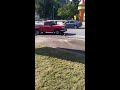 Puerto Rico Iguana Stopping Traffic